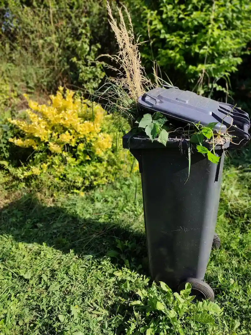 Composting bin