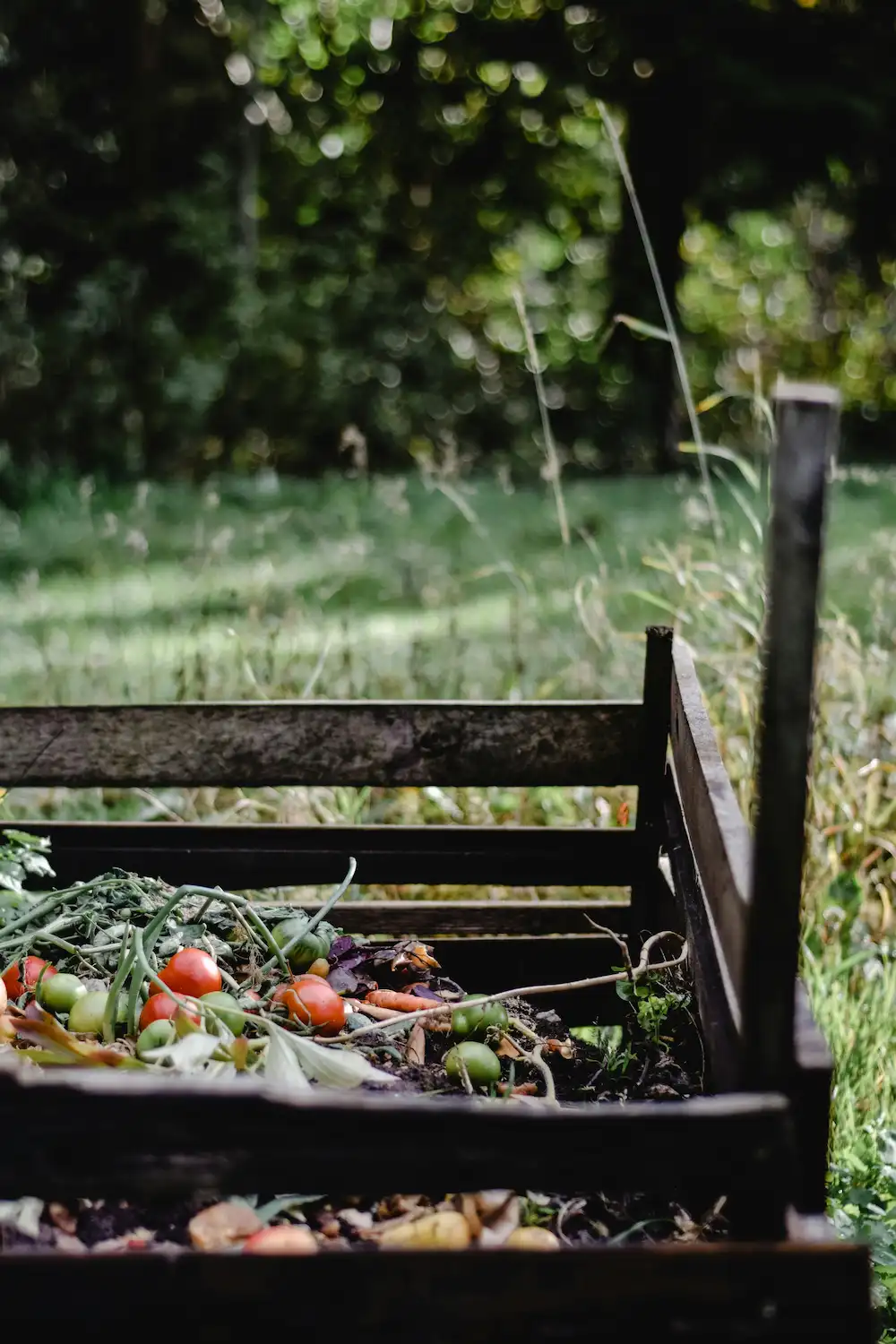 A compost bin with vegetable scraps