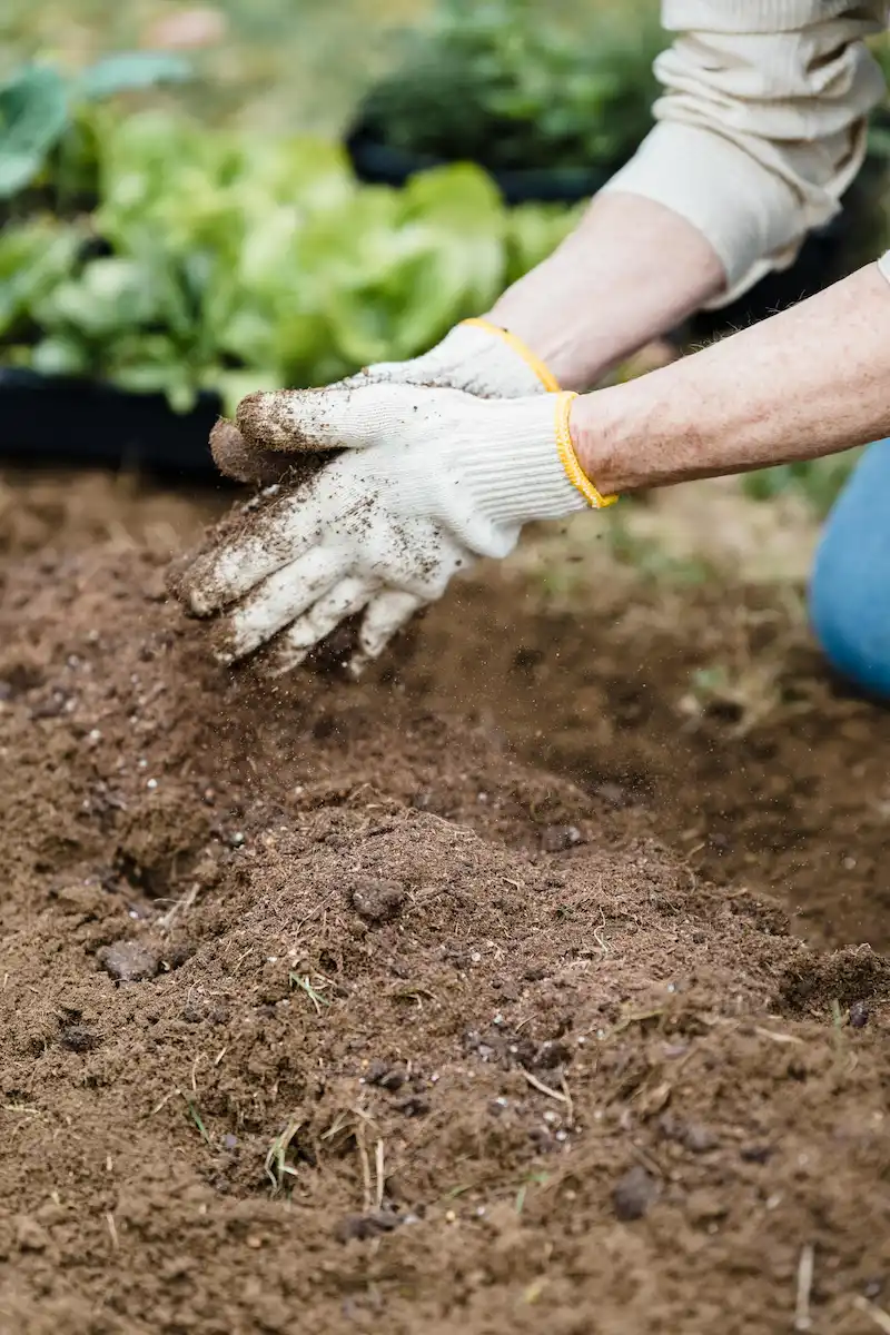 Finished compost