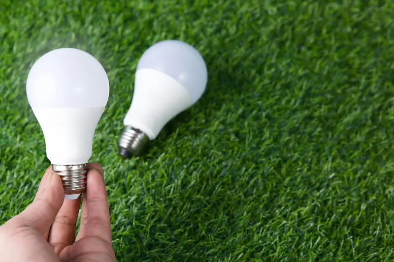 A variety of LED light bulbs showcasing energy-efficient lighting options