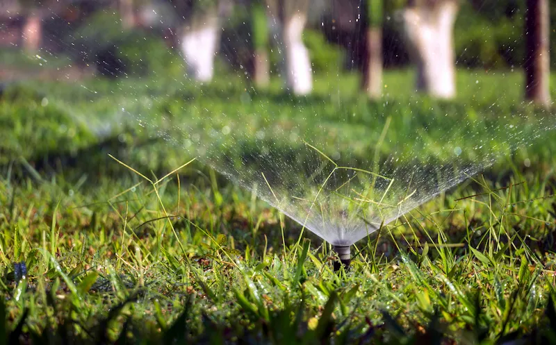 Smart sprinkler