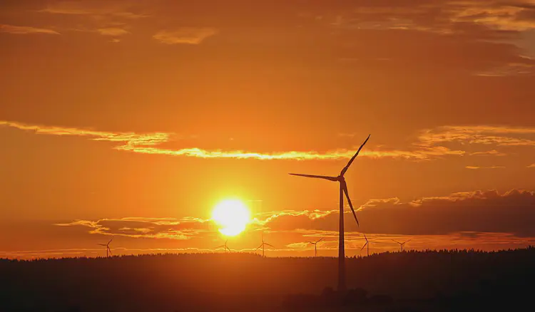 The Future of Renewable Energy & What It Means for You